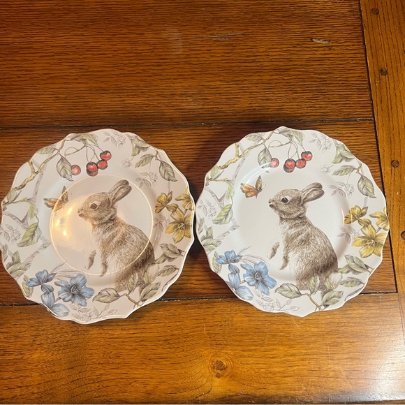 Pier 1 | Dining | Pier Sofie The Bunny Plates | Poshmark